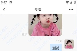 简聊im即时通讯源码搭建教程