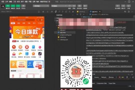首席赚钱源码（外卖券+电影+淘宝客+提现裂变流量主）功能强大
