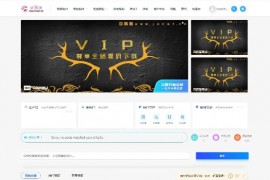 RiPro主题-子主题huzao-child V4.0下载