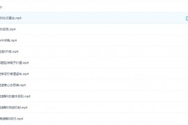 最近比较火的恋爱课程 瑞恩竞速聊
