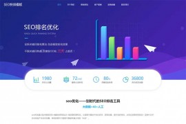 大气的IT网络软件公司网站源码 seo快排网站pbootcms模板