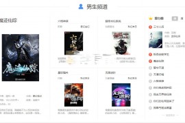 狂雨1.2.2小说CMS系统源码带两套优化模板和一套采集规则