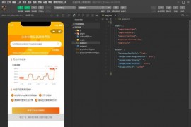 电商淘宝商品查历史最低价微信小程序源码 附流量主