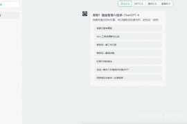 智思AI系统2.4.9版本解除授权（商业使用）