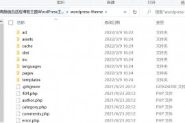 WordPress高颜值自适应博客主题+支持暗黑/白天风格