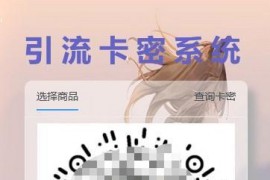 首发卡密引流系统 支持短视频点赞/关注获取卡密