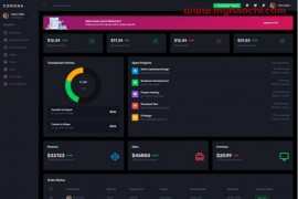 深色系数据统计后台网站模板