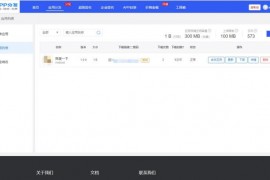 互站卖的第八区分发源码