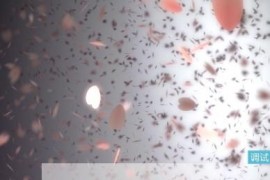 源码分享 我爱你-表白（可修改）