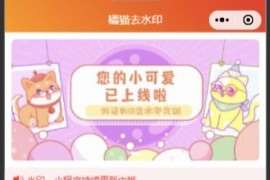 橘猫去水印小程序源码