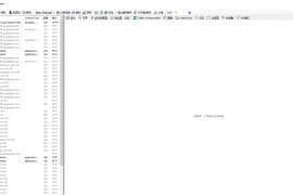 强大的抓包工具中文破解版