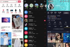 用Vue全家桶手工搓了一个高仿抖音，全开源