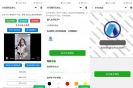新版简约短视频去水印加图片多样化加水印微信小程序源码下载支持多流量主