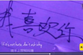 苹果CMSv10插件/本地解析播放器-videojs解析 整合苹果cmsV10程序