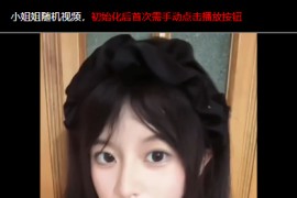 2025 单页面html整合小姐姐随机视频欣赏