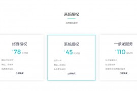 一款简洁大气的官网源码