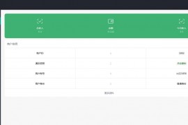 第三方支付平台源码 商业支付源码