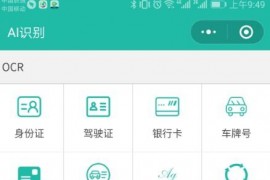 AI智能识别微信小程序源码带流量主功能